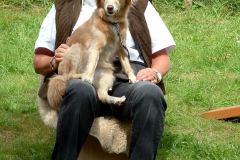 Sommerfest 116f
